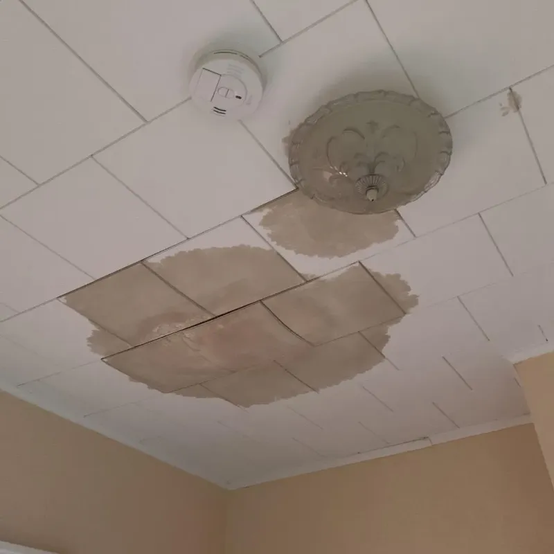 Ceiling Water Damage Repair in South Uniontown, PA