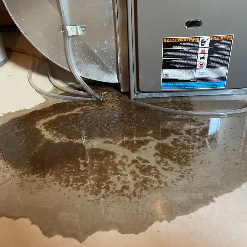 Pipe Burst and Leak Restoration in South Uniontown, PA