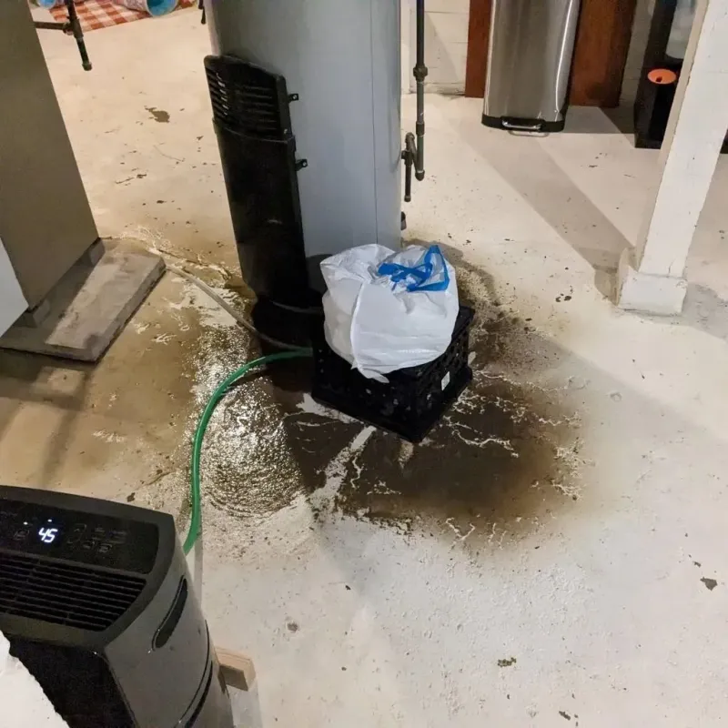 Sewage Backup Cleanup Service in South Uniontown, PA